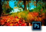 Curso PS para Fotografía